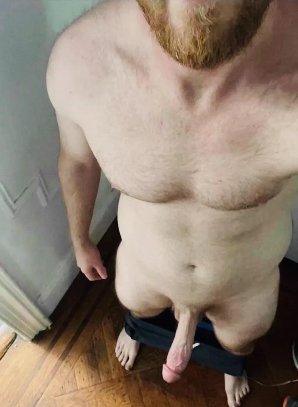 Would you fuck a 6’4 ginger? posted by hasjohnnycumlately