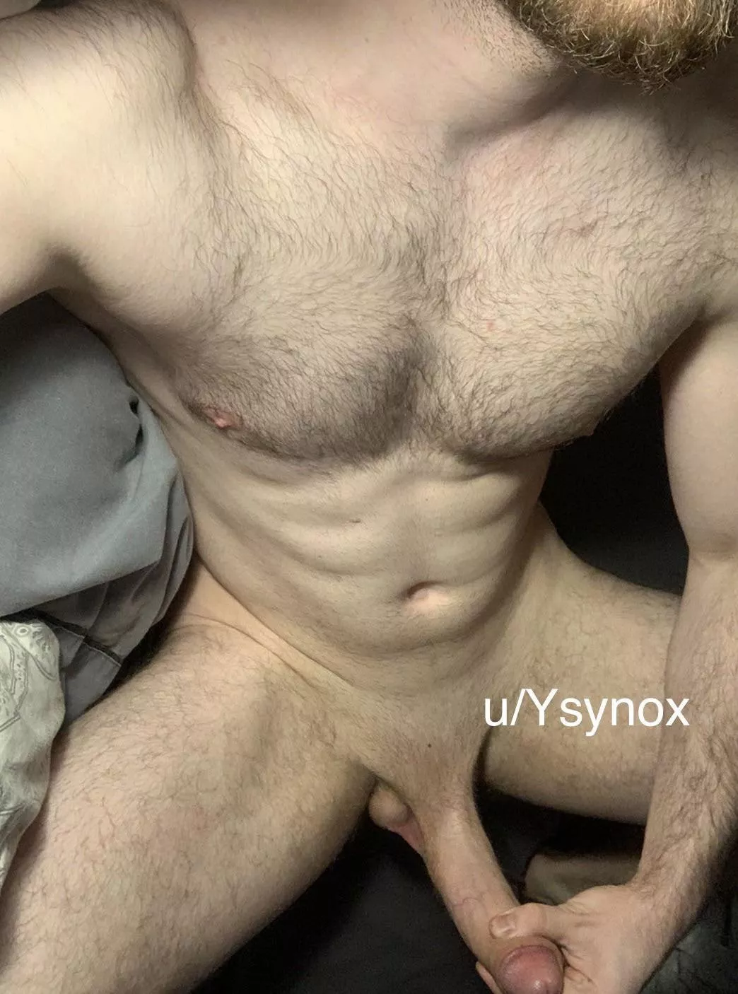 Would you fuck a hung German-Norwegian?🇩🇪🇳🇴 posted by Ysynox