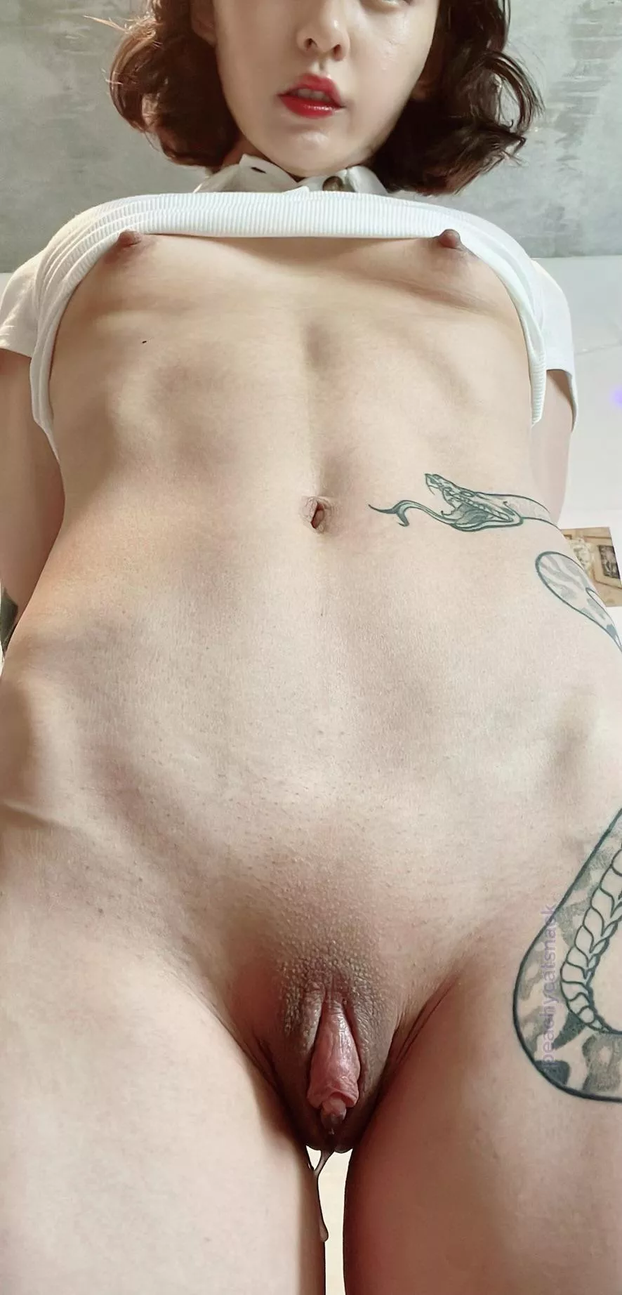 Would you fuck me even though my wet pussy would make a mess? posted by peachycatsnack