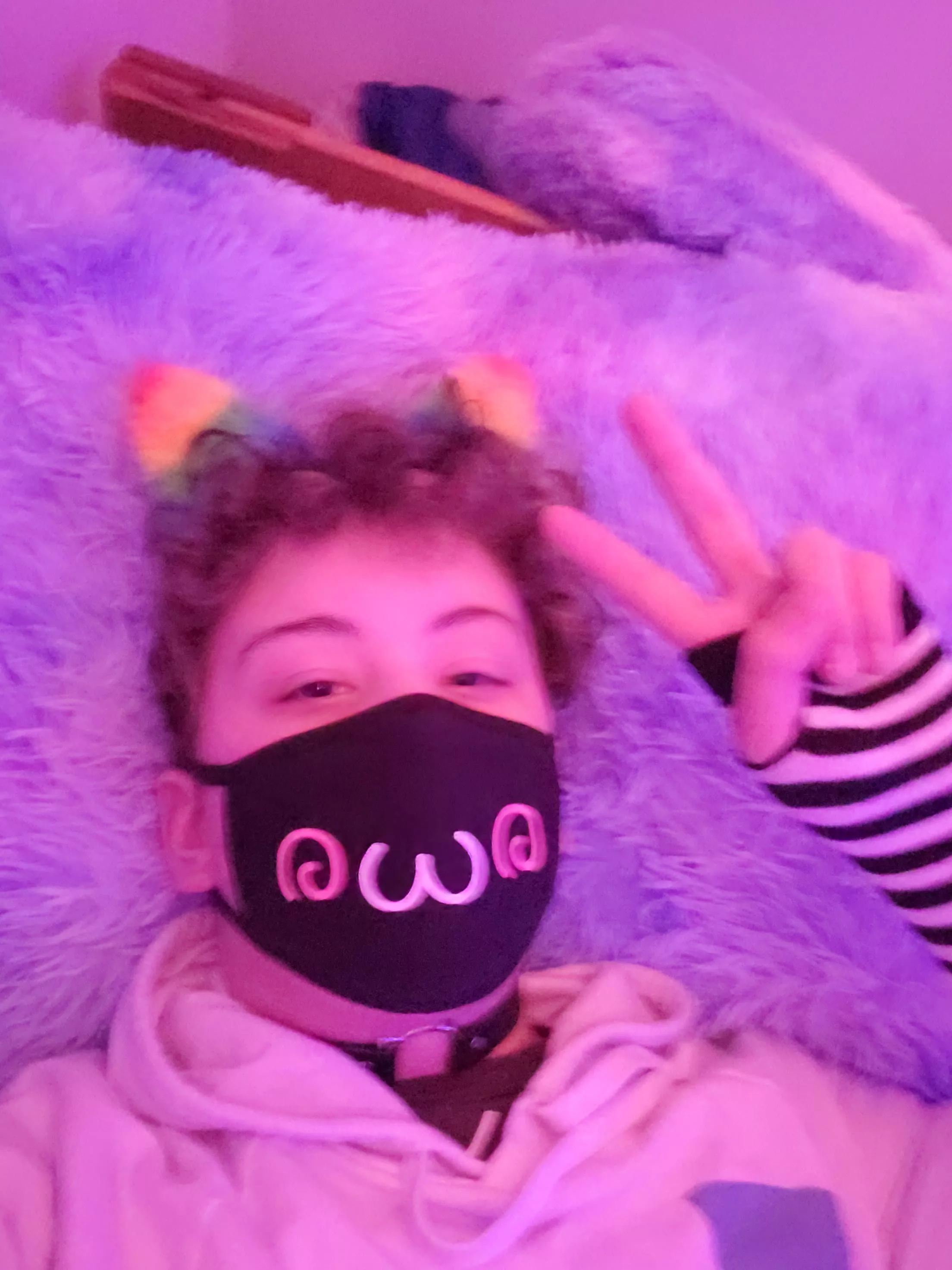 Would you gib headpats in return for cuddles? :3 posted by Economy-Equipment-90