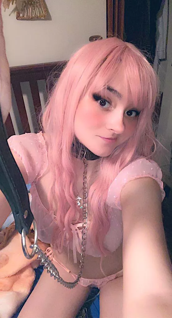 Would you hold my leash as I game? [u/NovaVortexi] posted by NovaVortexi