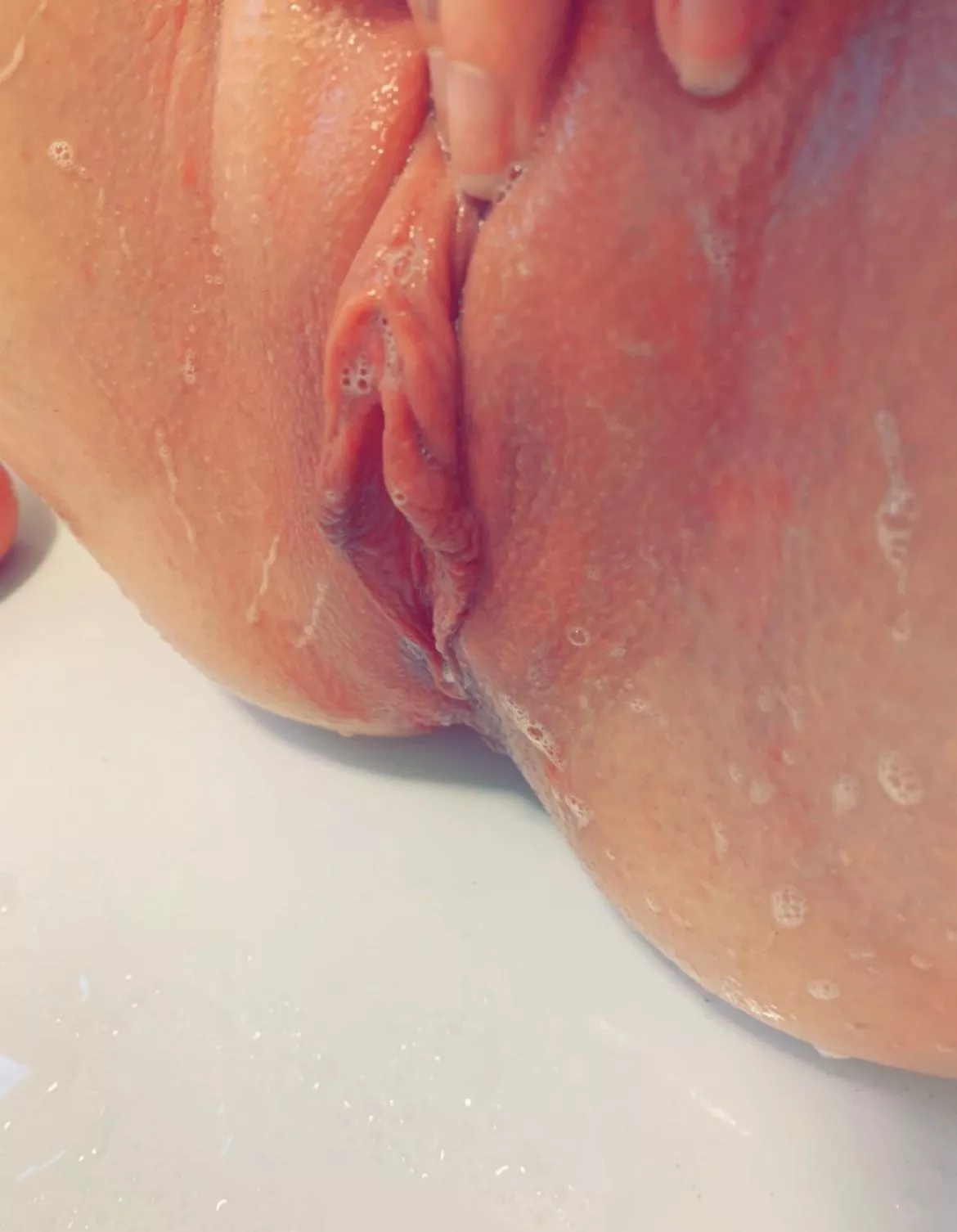 would you kiss it? posted by LachieBruh1