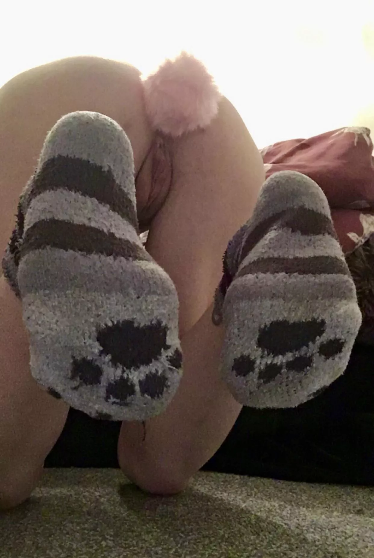 Would you kiss my paws or my pussy first? 😘 posted by PrincessCumBunny