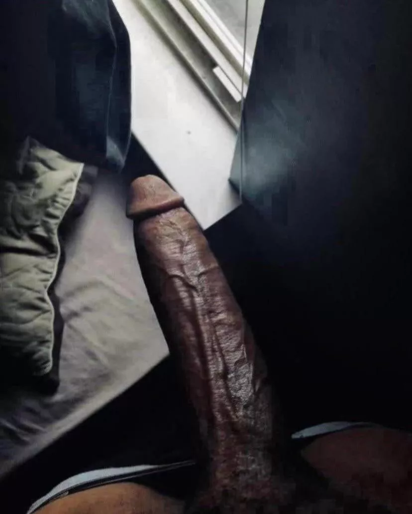 Would you let me breed you?😩 posted by Daddybbc767