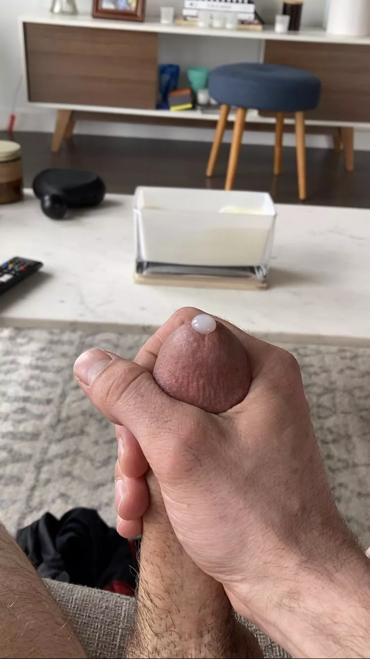 Would you lick this for me posted by 123sportz