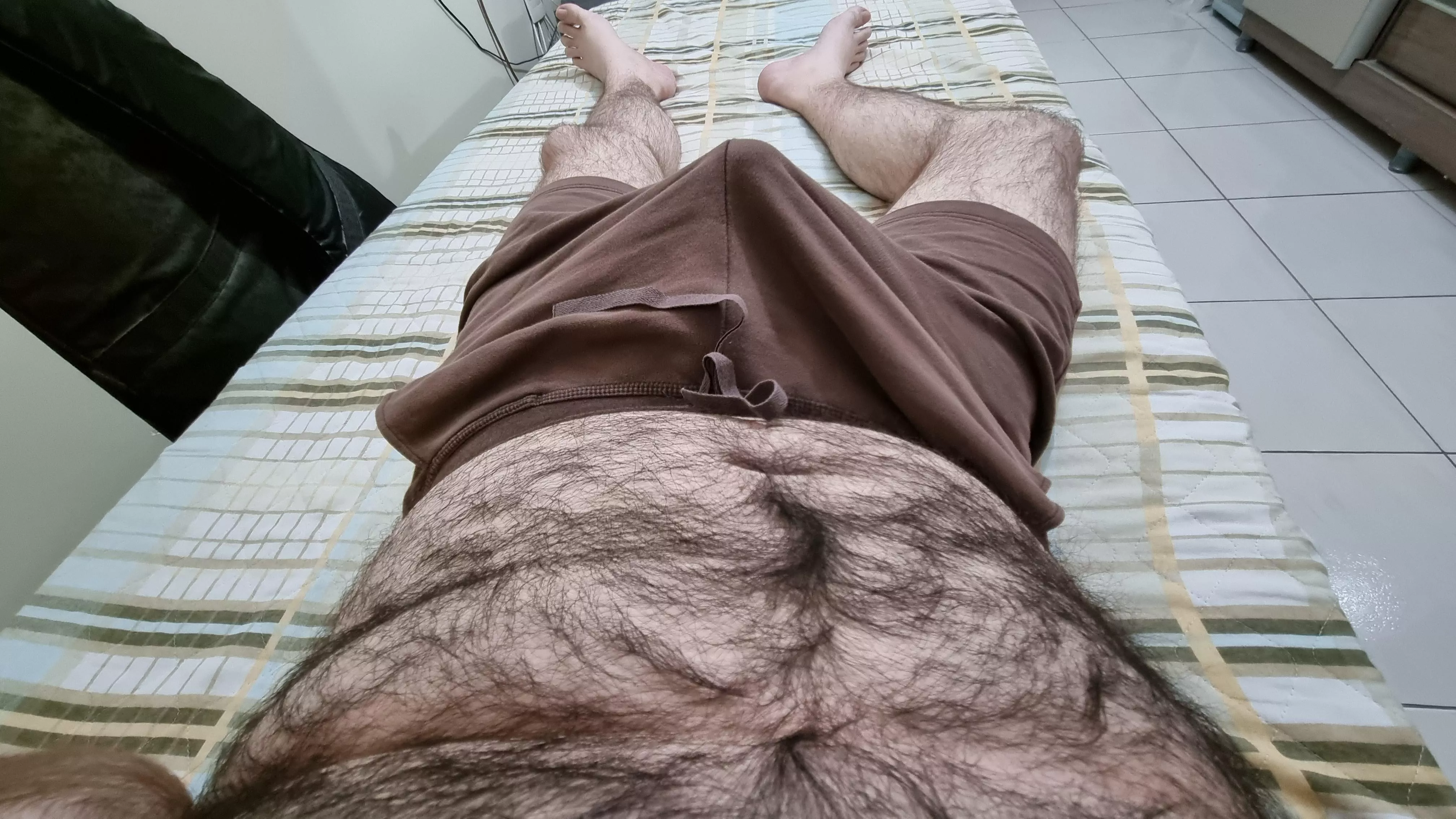 Would you like to help me with my morning wood and then cuddle? posted by valpld