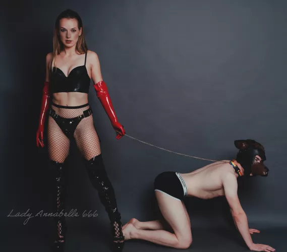 Would you like to say hi to my puppy? Don't worry, he's not aggressive by LadyAnnabelle666