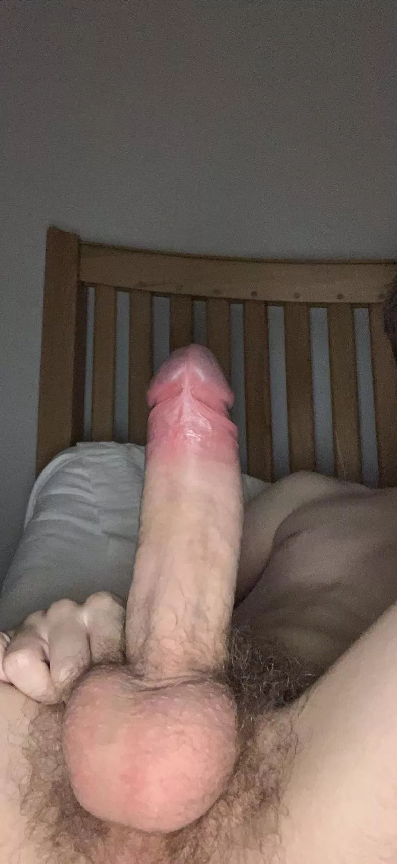 Would you like to suck it? posted by Various-Power-1024