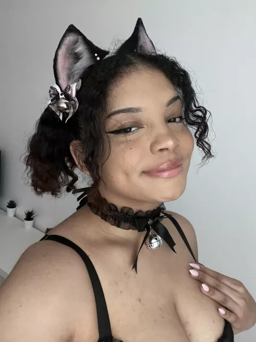 Would you own me? by thekoffeekitten