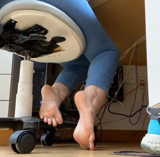 Would you peek under my desk? by Healthy_Platypus_806