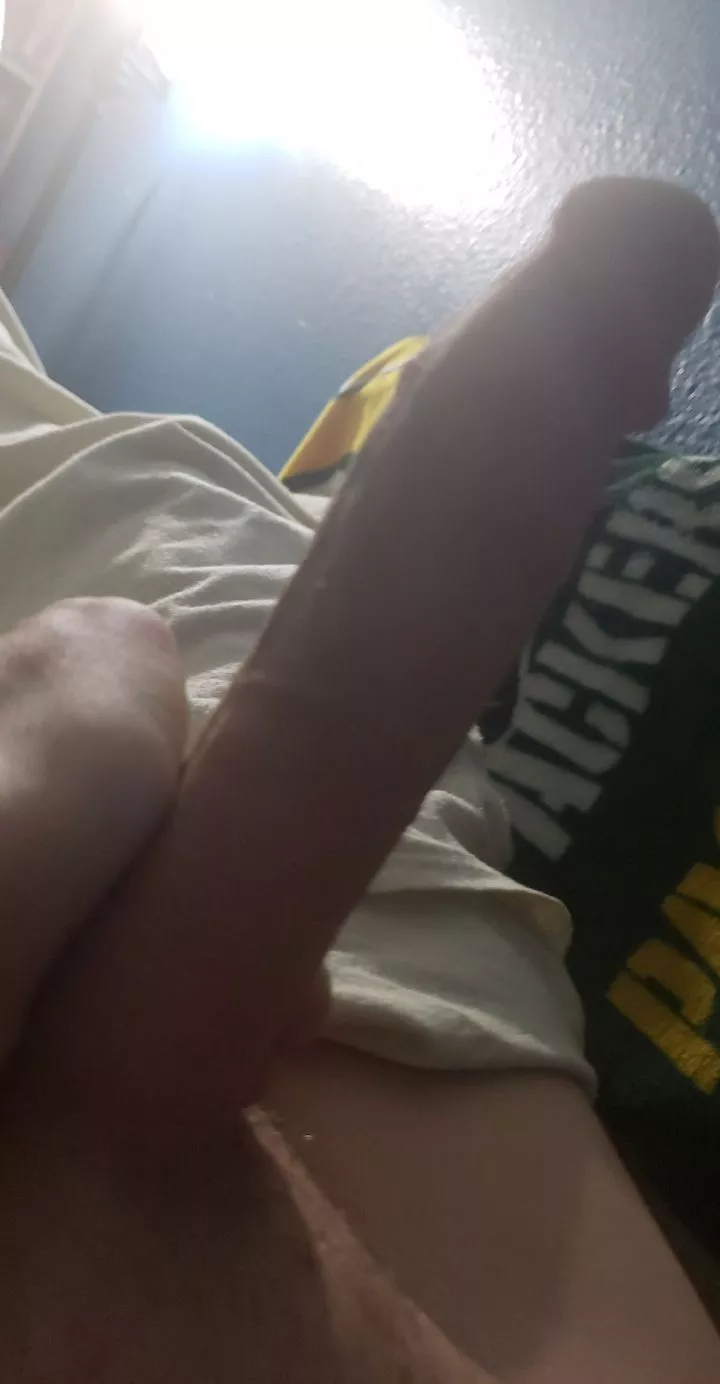 would you pet him softly? posted by Top_Tonight_1290