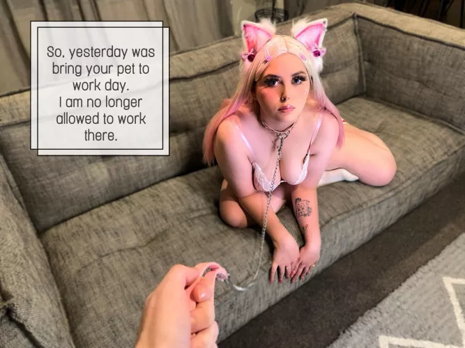 Would you pet the kitty? by lunad0ll