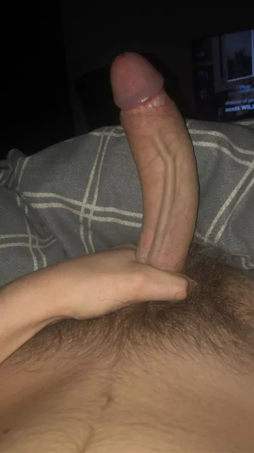 Would you ride it? by Whole_Hall_3710