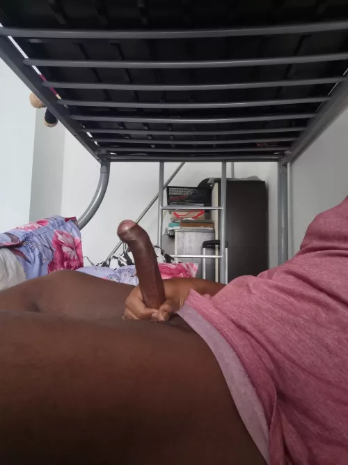 would you ride this? by princy54