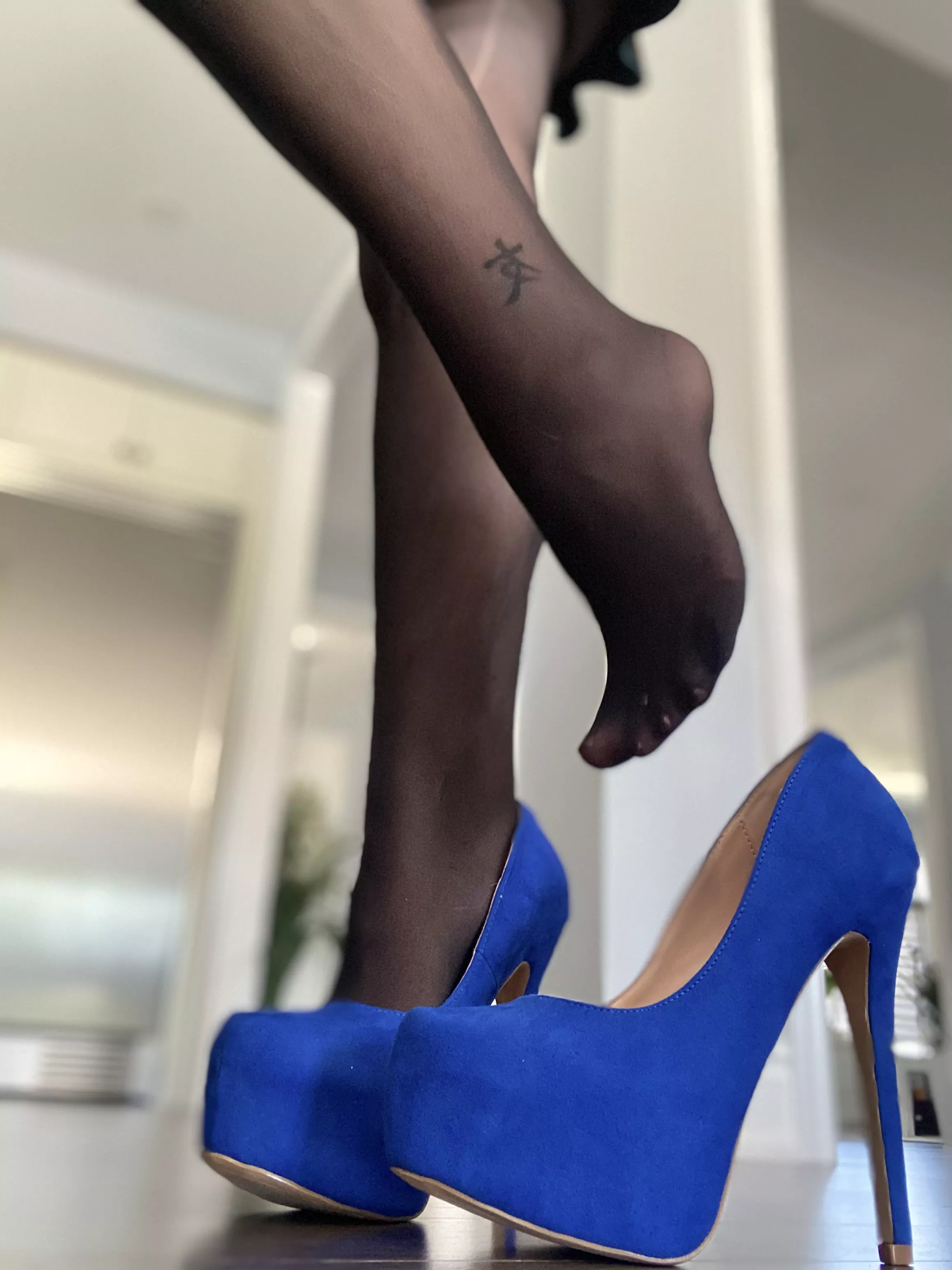 Would you say blue suede heels are a necessity in every closet? posted by NylonsRock