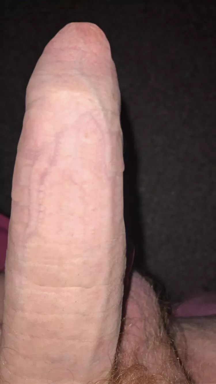 Would you sit on it? 🤔 posted by Downtofuck123456