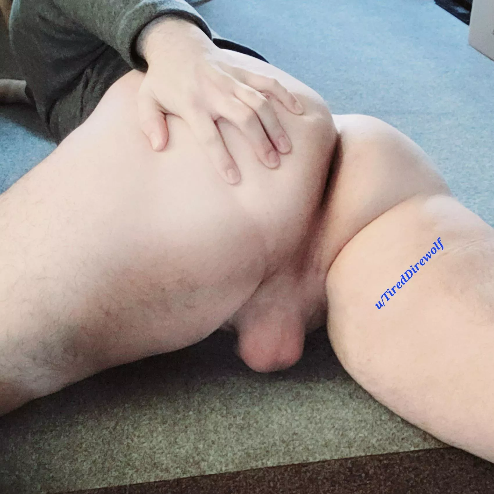 Would you spread me and fill my hole? 💚 posted by TiredDirewolf