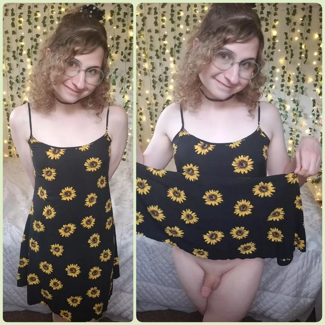 would you still go out with me if you knew what I was hiding under my dress? 😉 posted by nominal-naomi