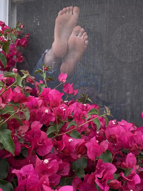 Would you stop and stare? by Jennlynnefeet