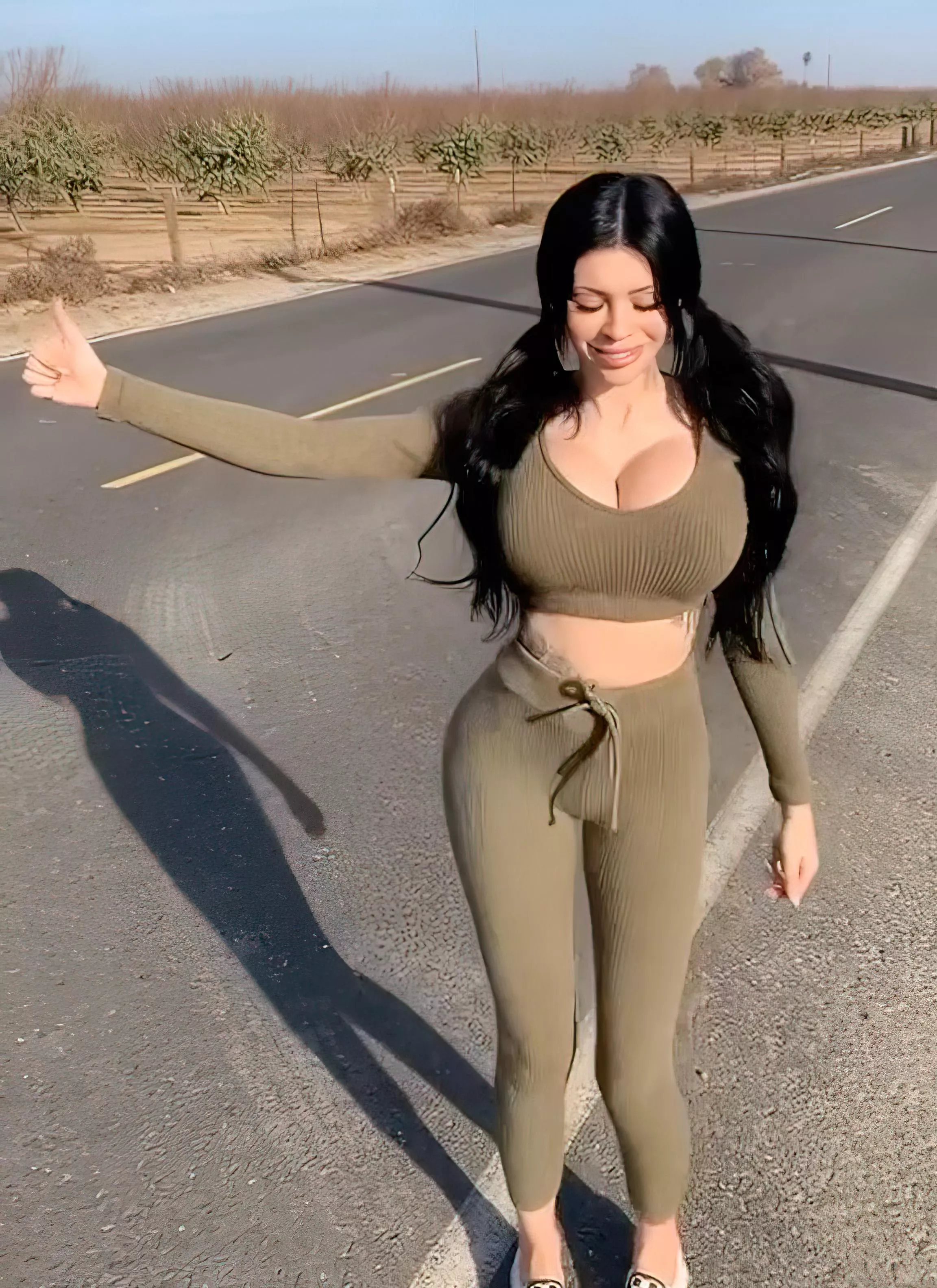 Would you stop for this hitchhiker? posted by CHEWY_BRICK