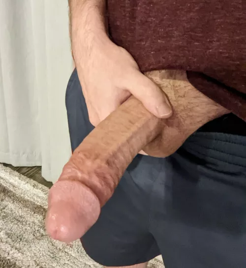 Would you stretch yourself out on me for Hump Day? by Bigdtaw