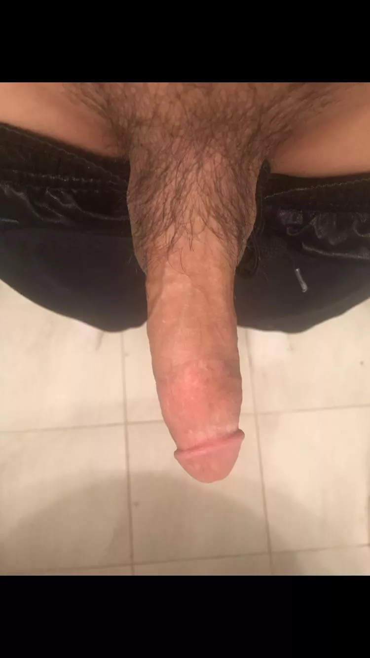 Would you suck my cock? posted by lbj868686