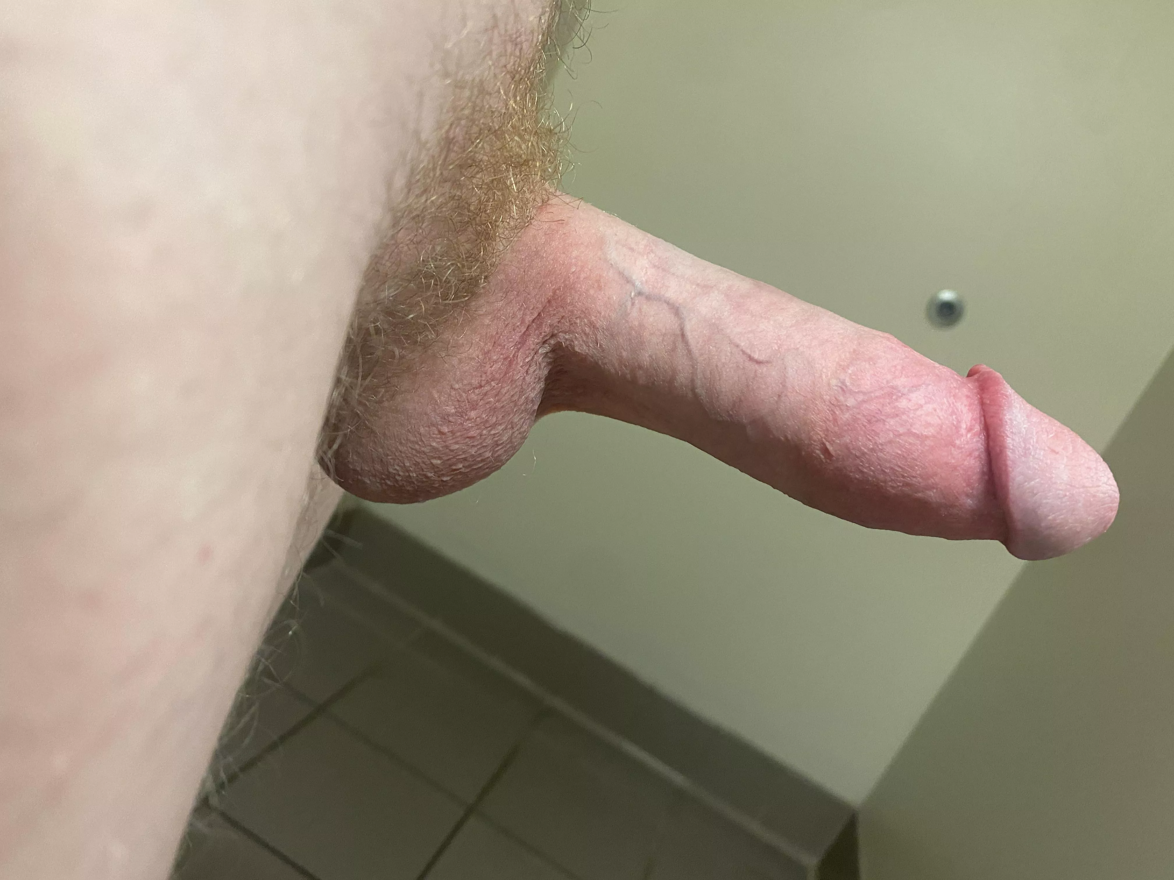 Would you suck this college dick? posted by CoolestThingSince02