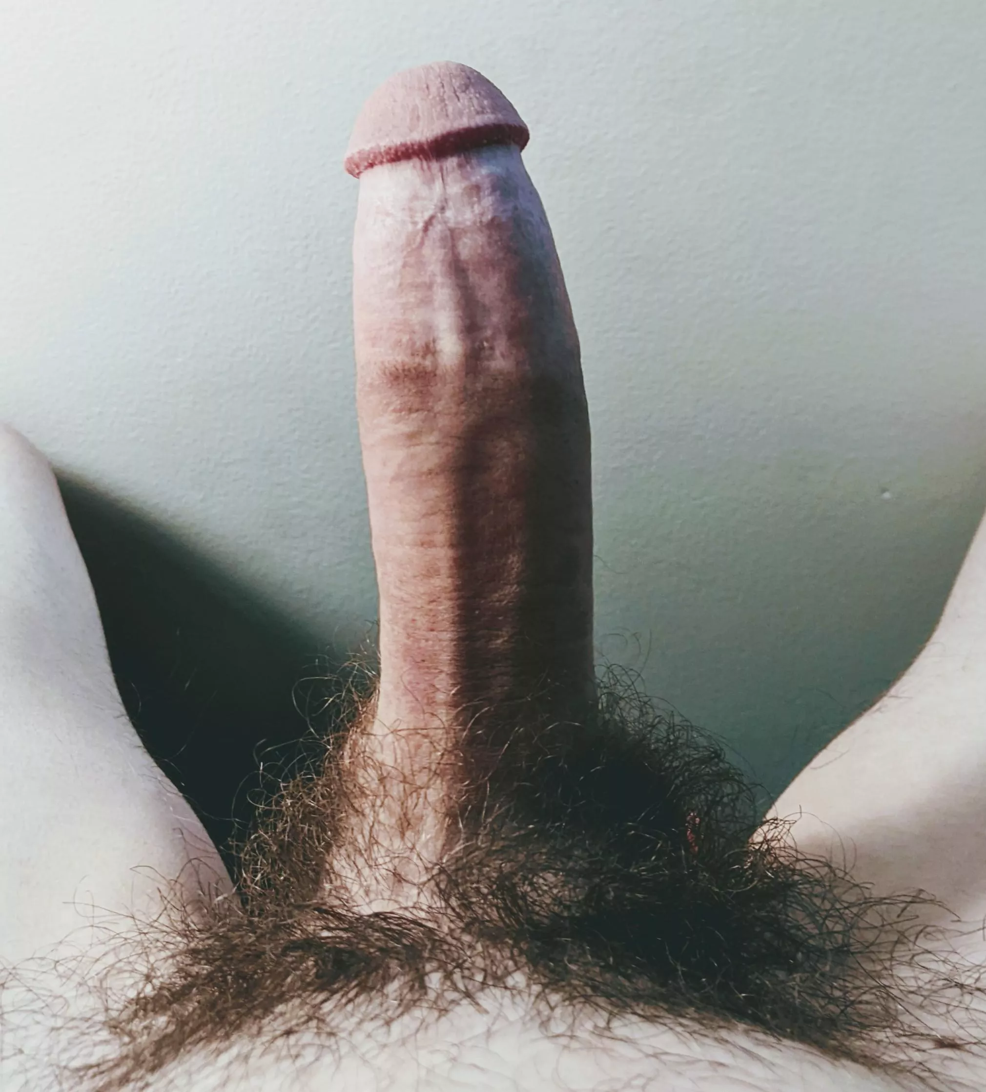 Would you take a seat? 😏 posted by arousedshaft