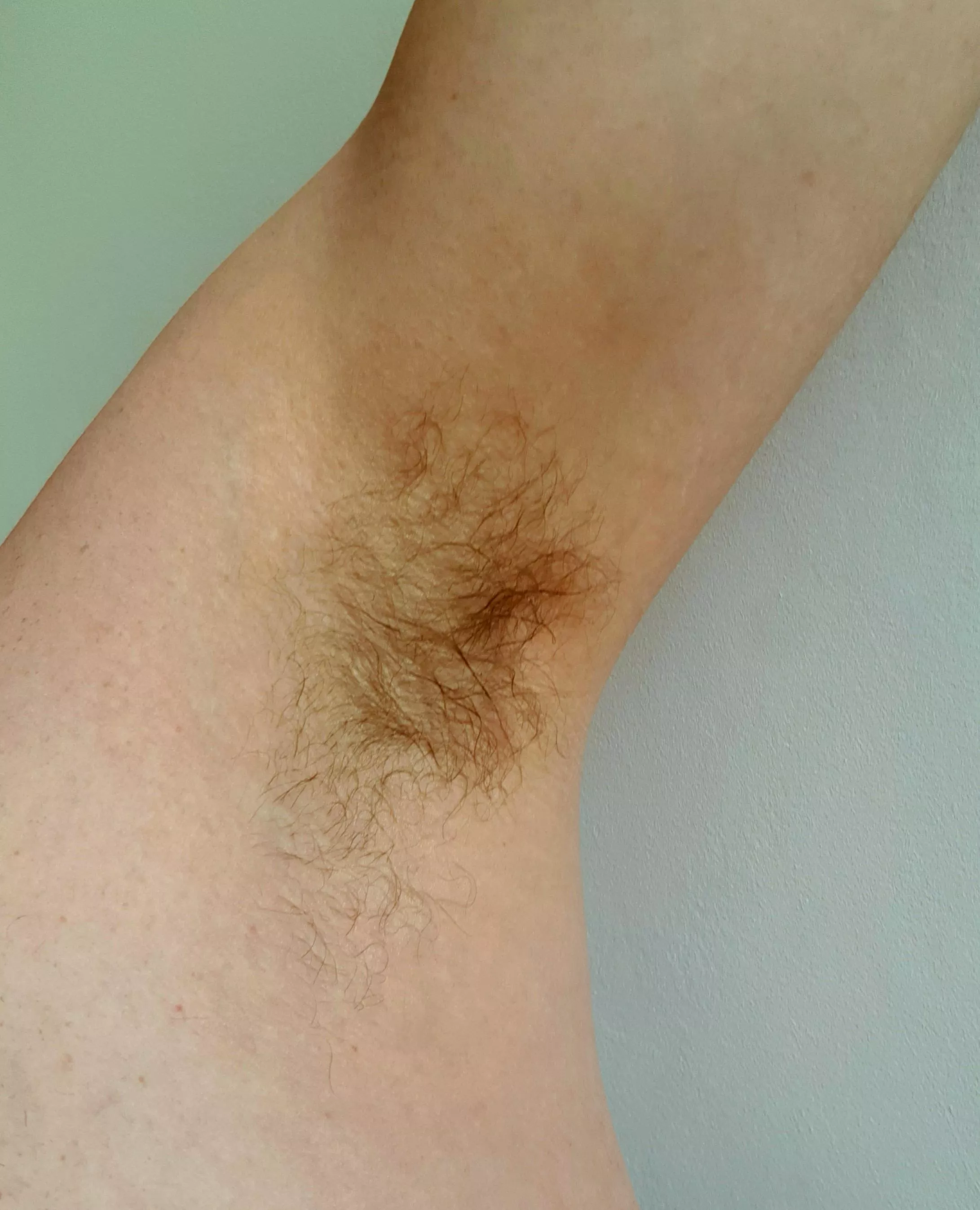 Would you take a sniff? 🤷‍♂️ posted by dusk-till-dawnn