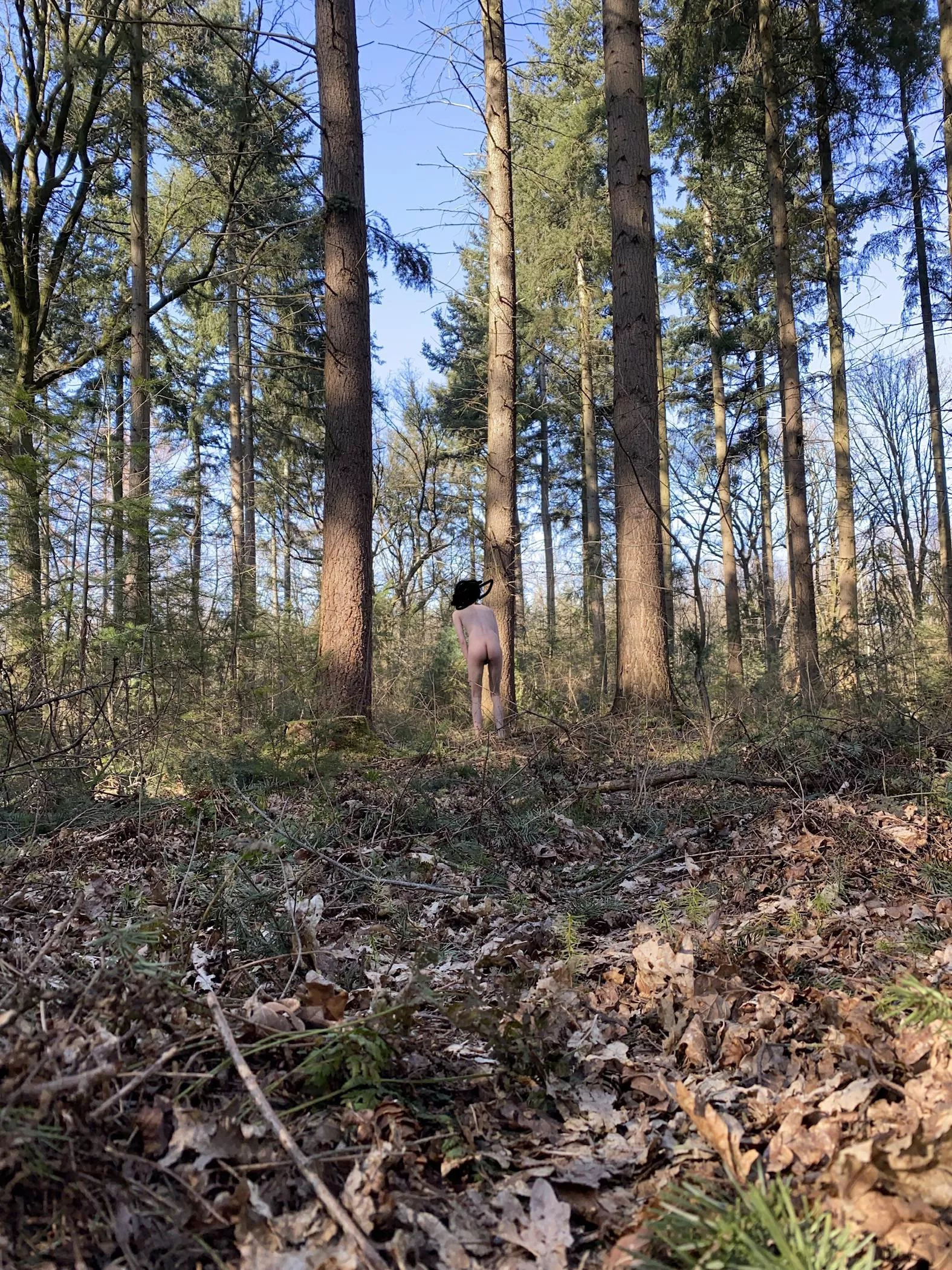 Would you take my clothes after I walked away? posted by garenrl