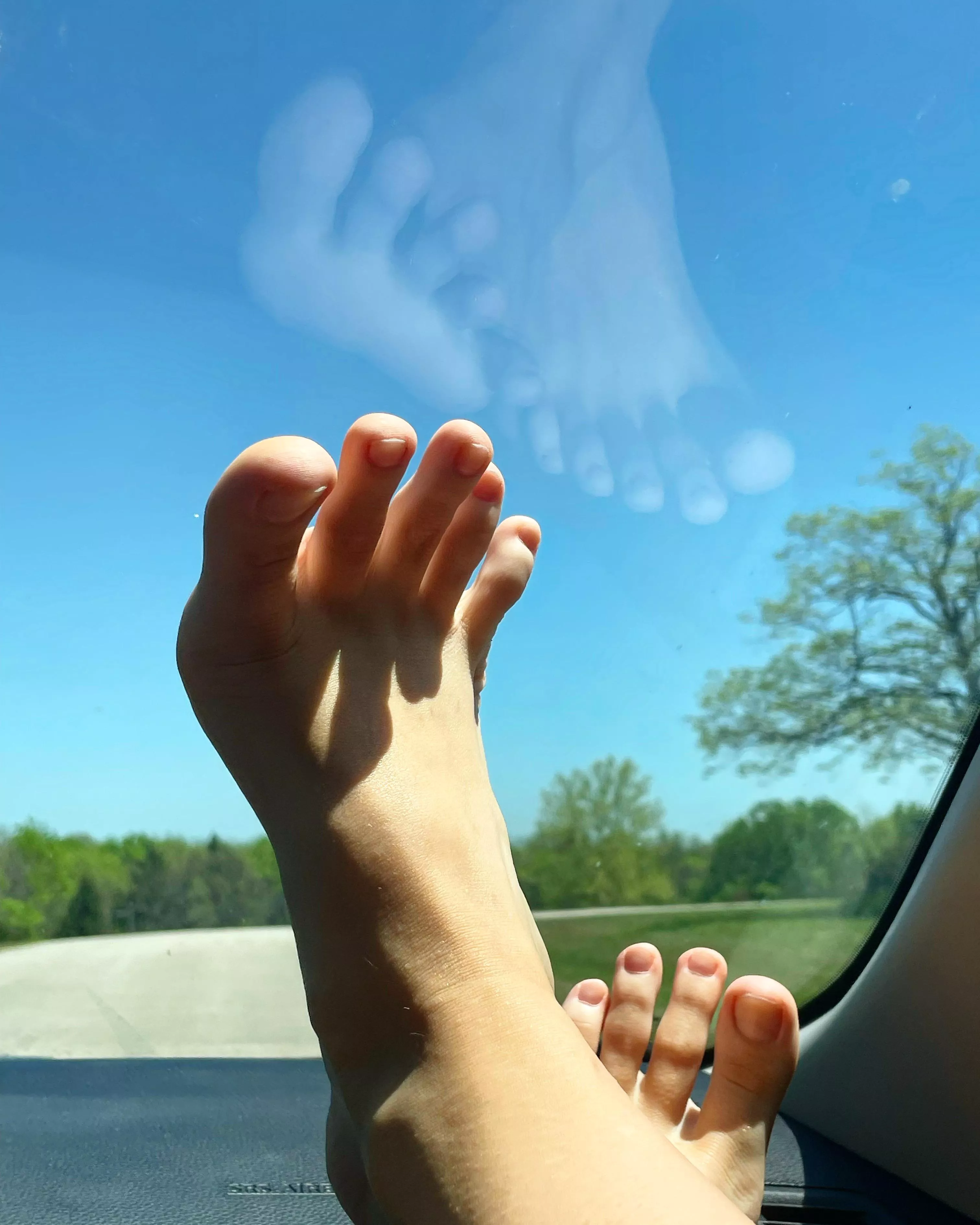 would you turn around if I drove past you 🥺 posted by gigiiiginger