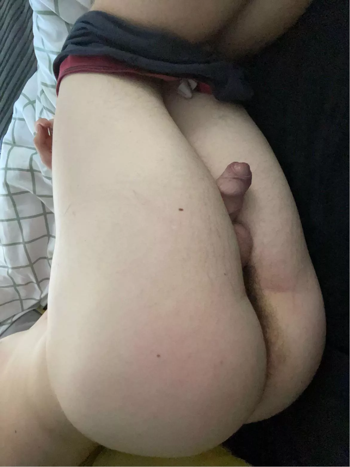 Would you wife me 🥵 posted by Old_Shower6935