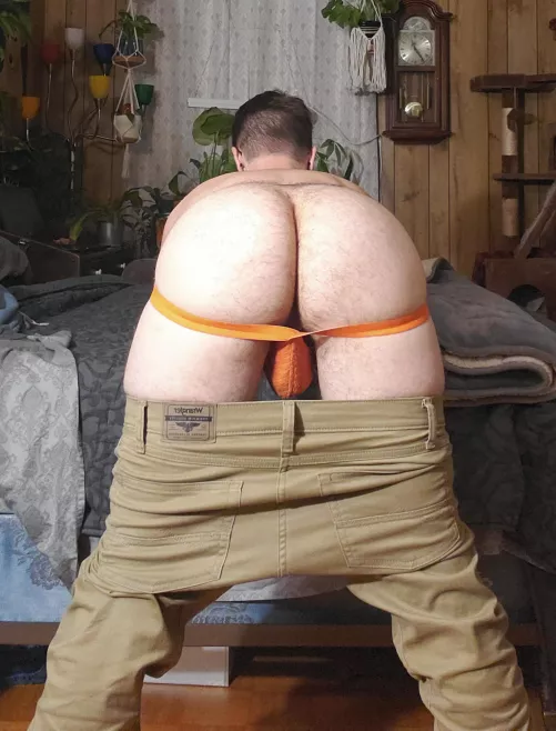 Wrangled by AComstockery