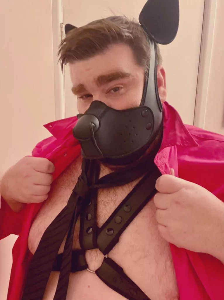 Wruff! Come here often? posted by BHMRyanAlexander