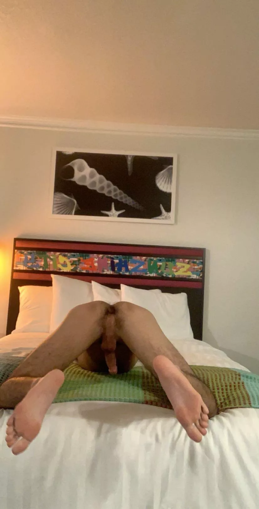 Y’all like? posted by No_rest_for_lex