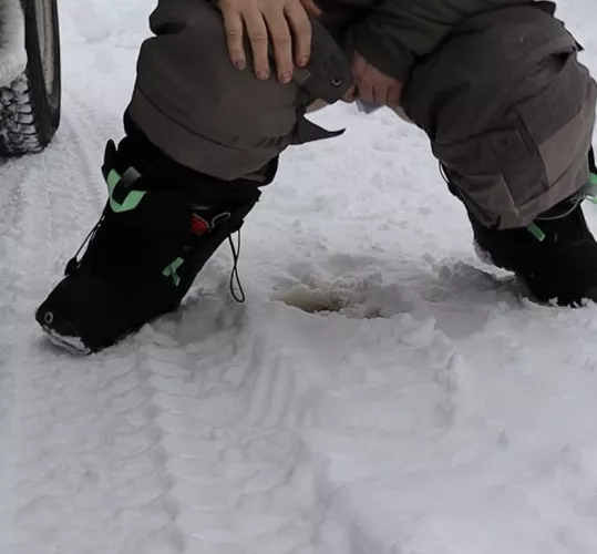 Yellow snow ❄️ by paige_parkerton