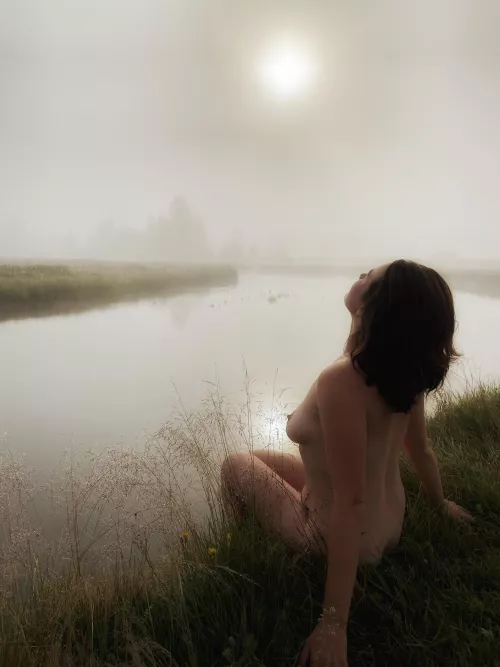 Yellowstone’s Morning Fog by zzzmick