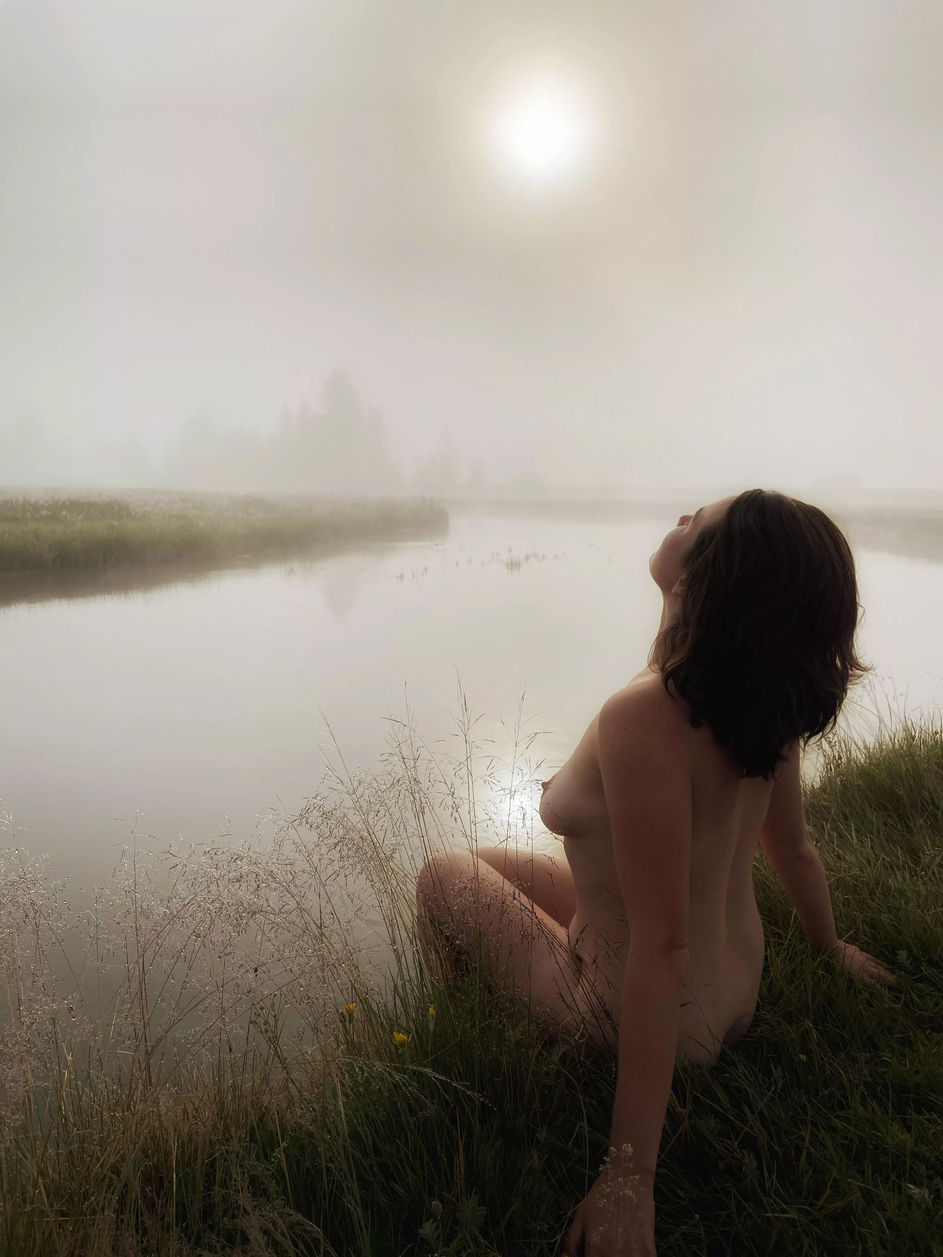 Yellowstone’s Morning Fog posted by zzzmick