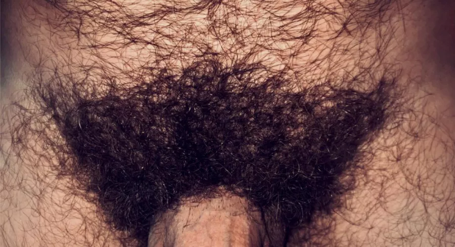 Yep, I sport full bush. by jerseyjaxoff