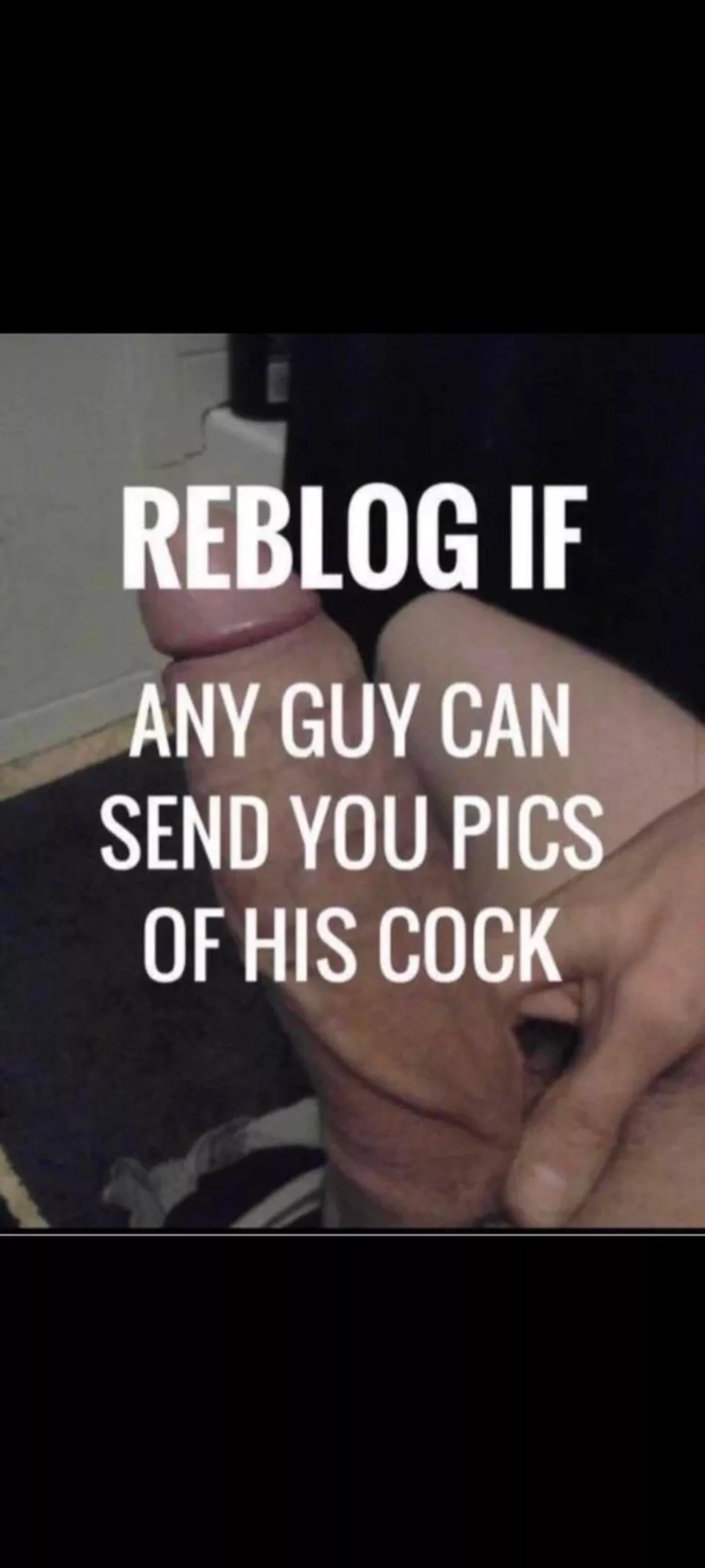 Yes a thousand times yes posted by FreakazoidDK75