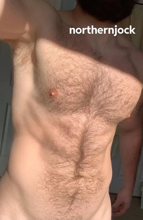 Yes, you may stroke my furry body by northernjock