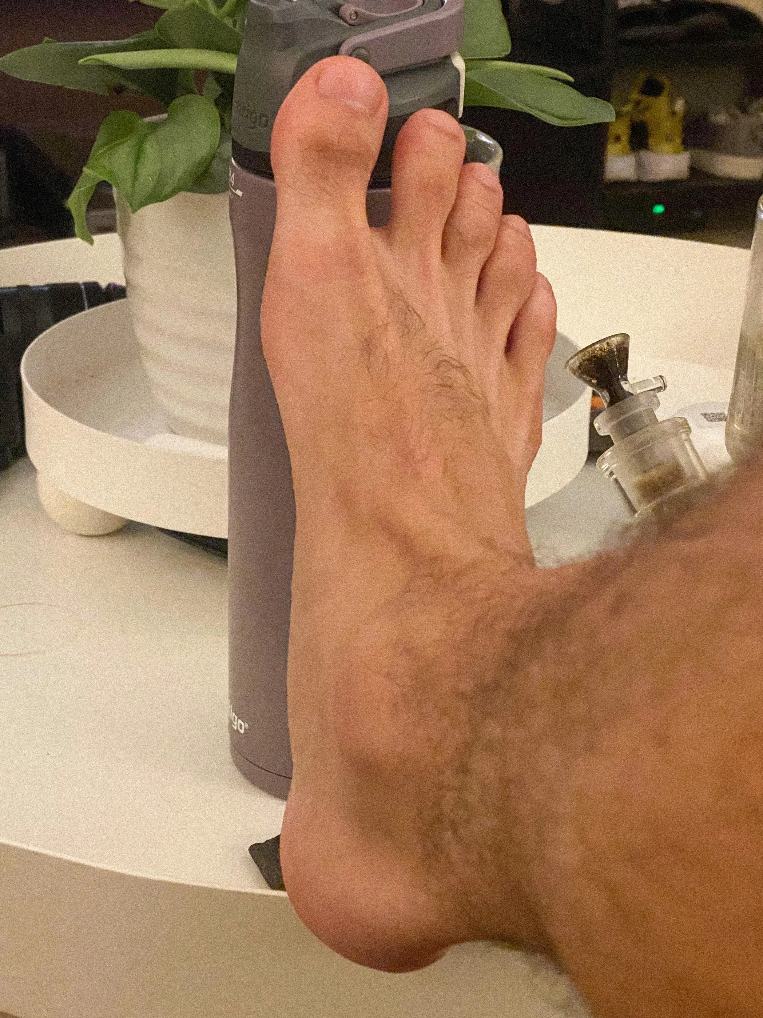 Yeti X Foot posted by ShyDragonfruit