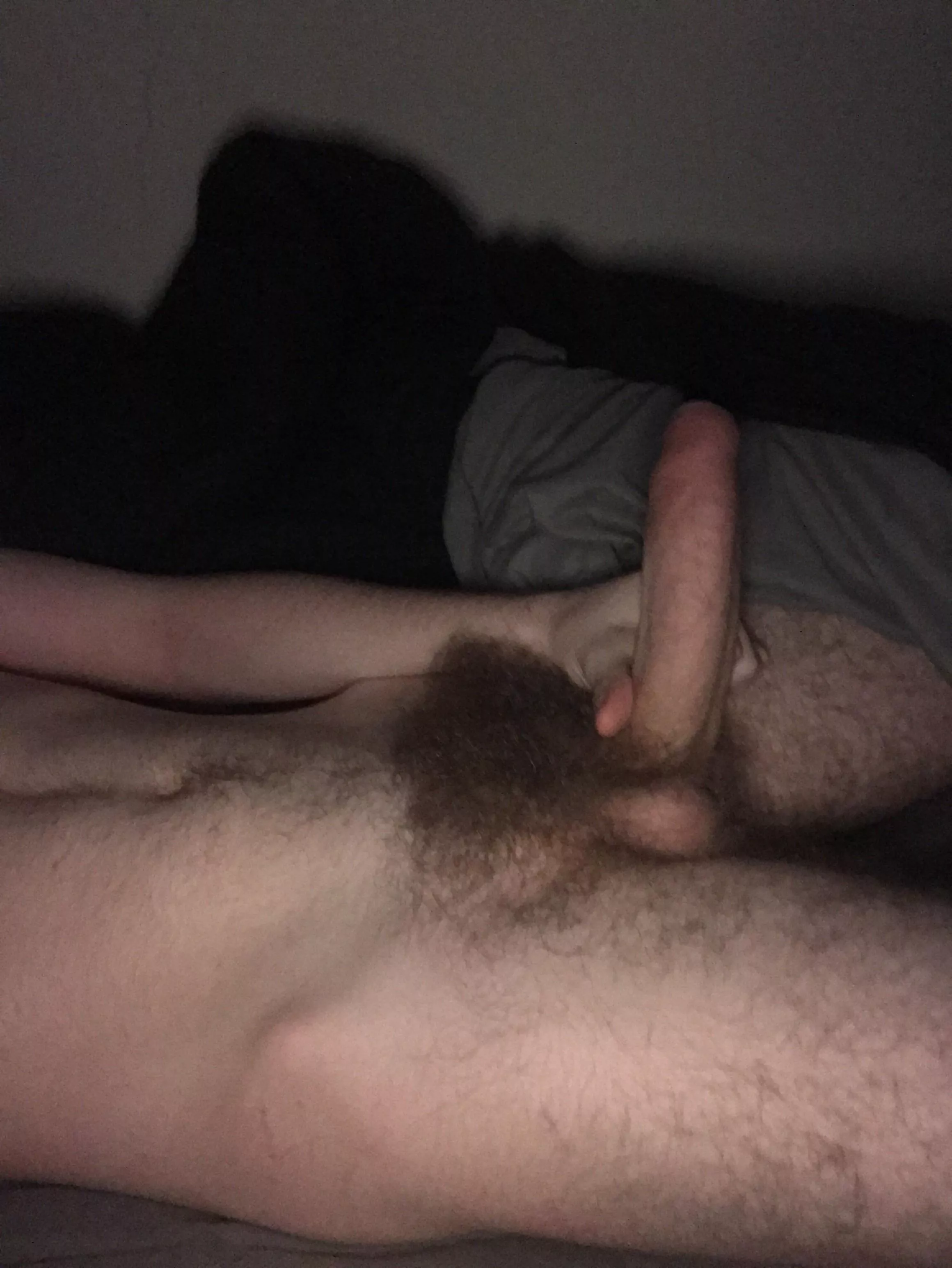 You all love this bush, and it makes me so hard posted by Cavvy1243