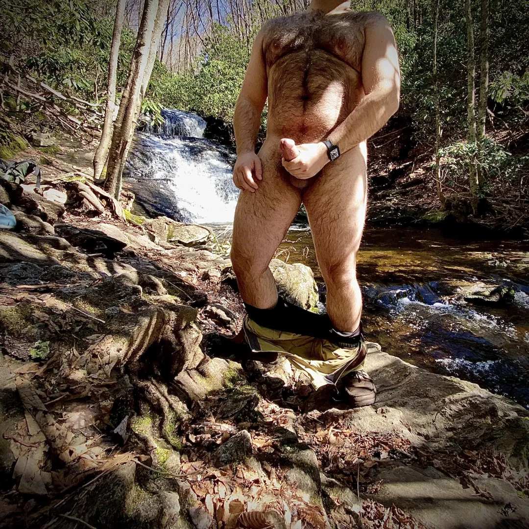 You are out hiking and come across me. What do you do? posted by LumberjackinSB