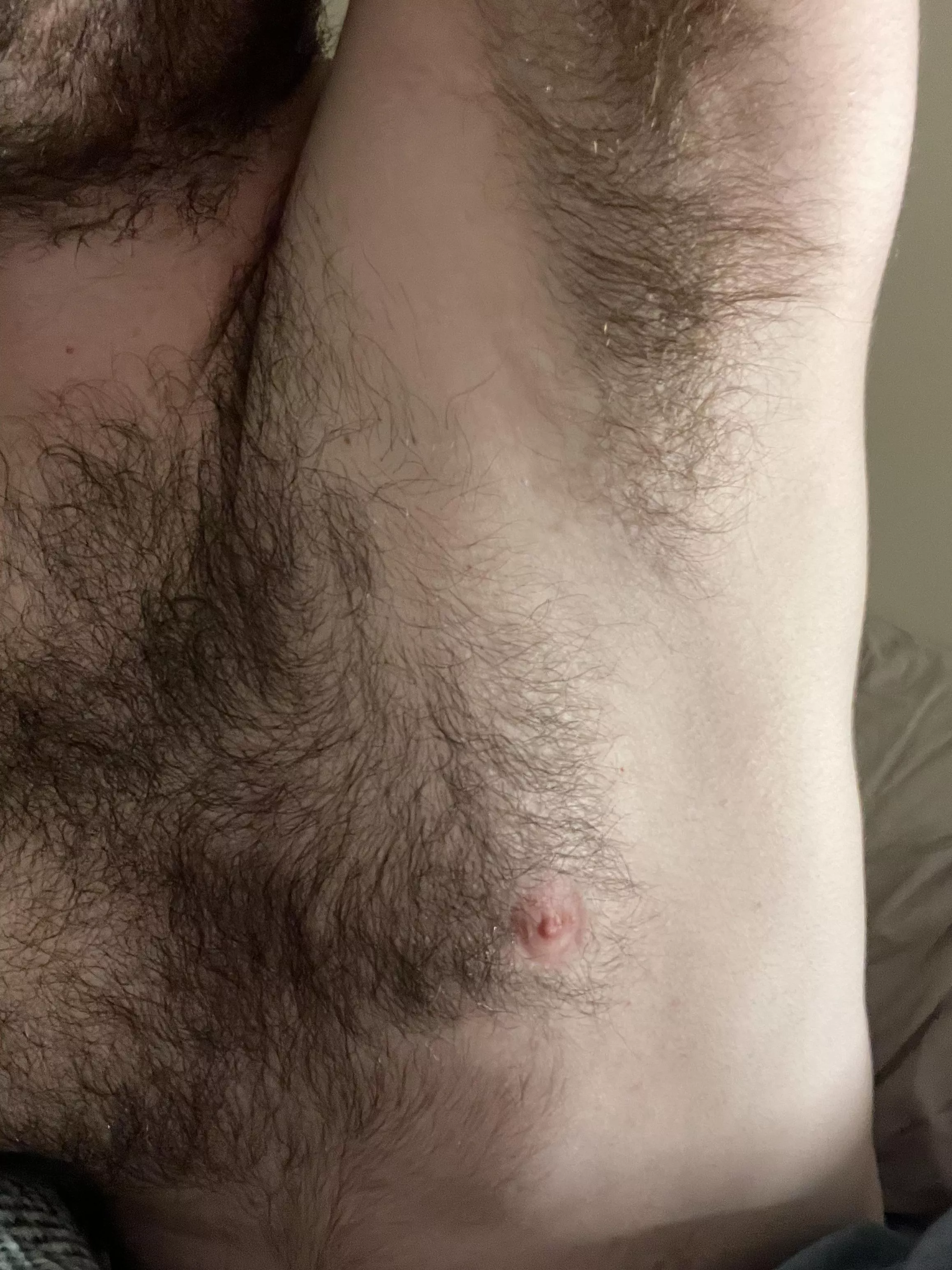 You boys like furry pits? posted by RandomPlatypus22