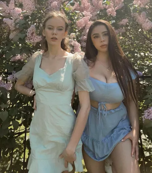 you can tell by the faces by Lev-Parnas