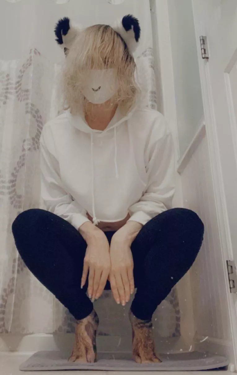 *You encounter a random cat boy whilst sorting by new.* Do you pet? YES or NO. posted by Zeukiiii