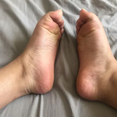 You going to 💦 over them? by SofiaVos