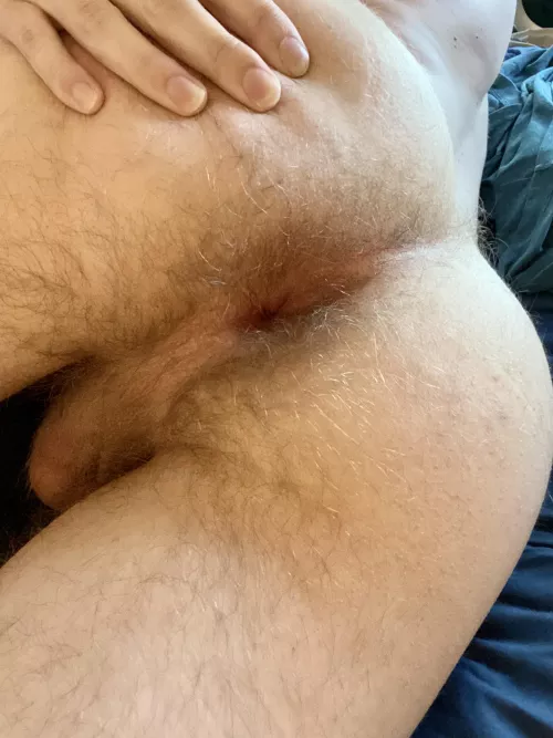 you guys into hairy cracks? by PomeloProud4433