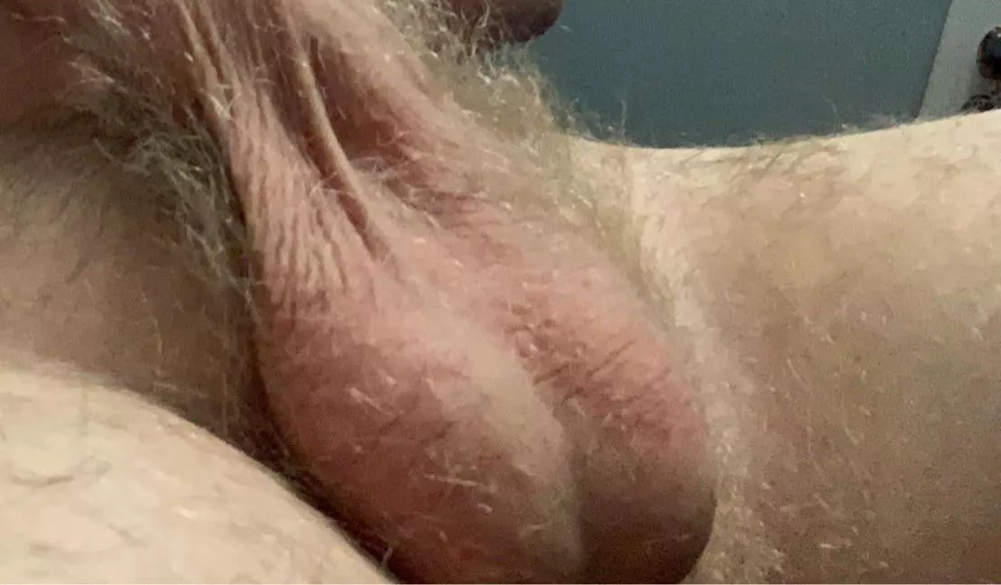 You guys like my nuts? posted by Fearless_Charity_692